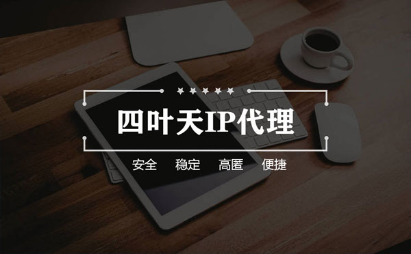 【博罗代理IP】如何快速搭建代理IP？怎么检查代理的效果？